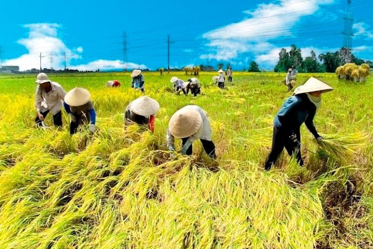 Эксклюзивная экскурсия в дельту реки Меконг (Для любителей рыбной ловли)