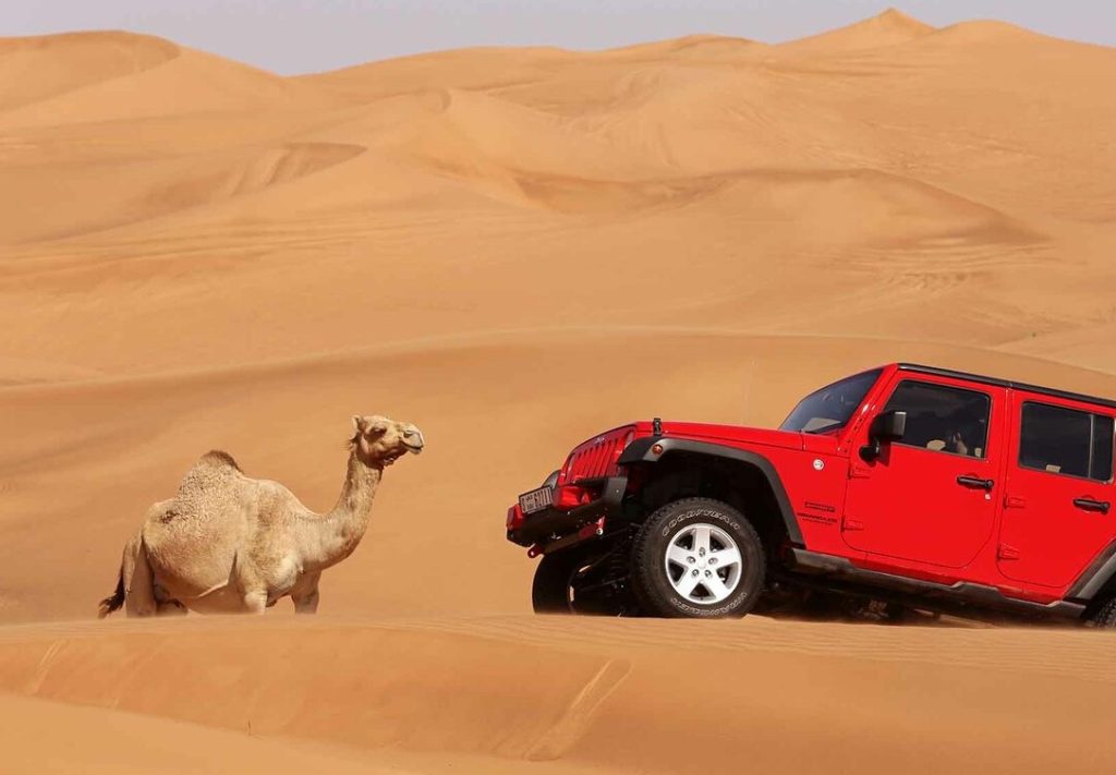 Сафари на Hummer