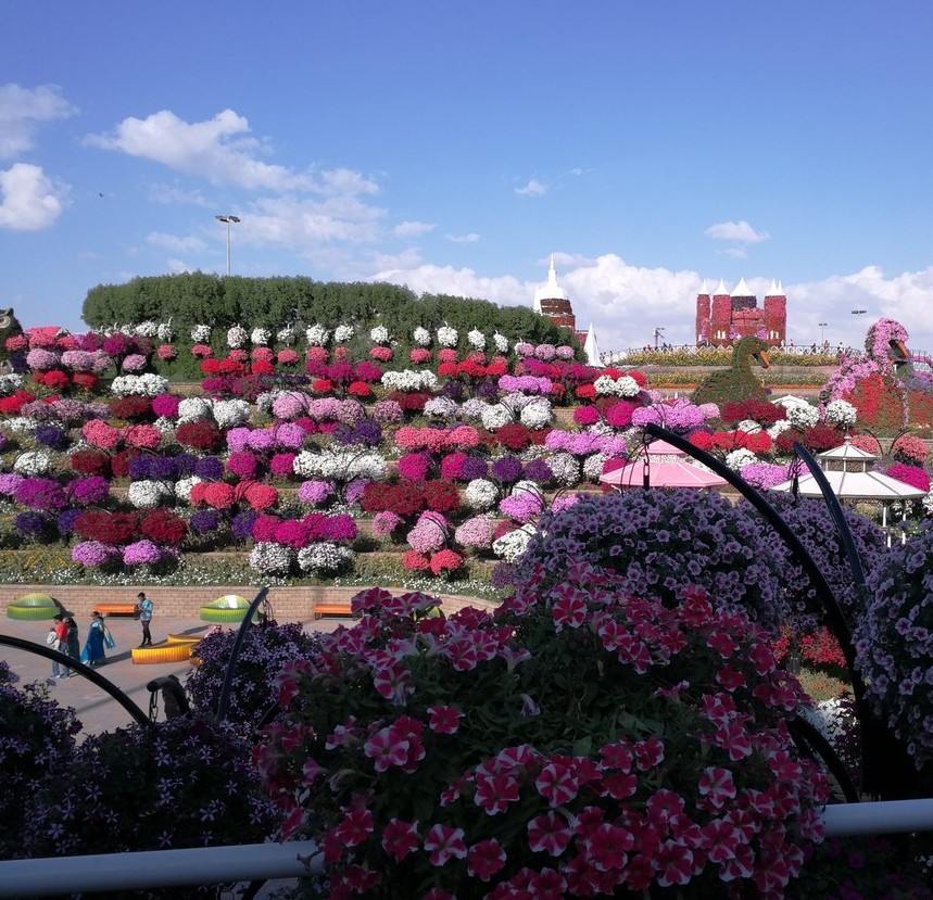 Парк Цветов — Dubai Miracle Garden