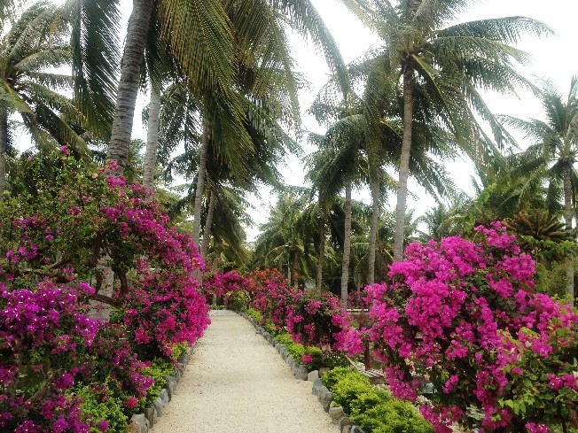 Острова бухты Ня Фу (Nha Phu bay islands)