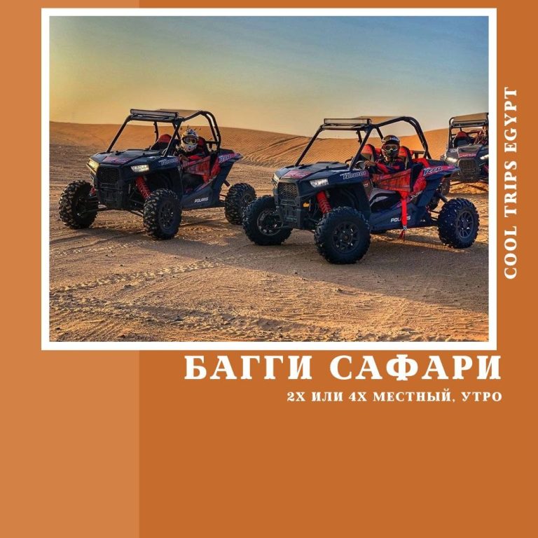 МАРСА АЛАМ - САФАРИ НА БАГГИ УТРОМ (2х ЧАСОВАЯ ПРОГРАММА)