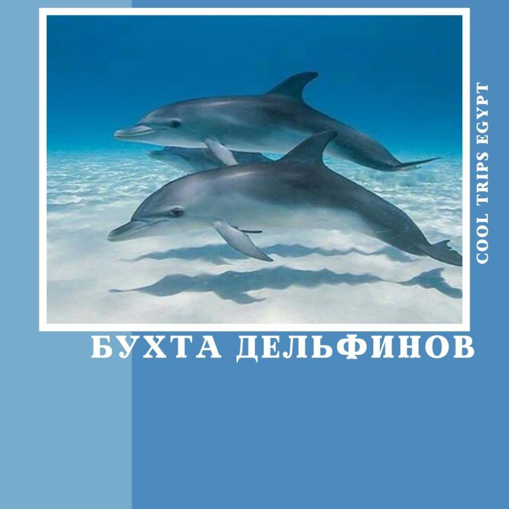 ХУРГАДА – ДОМ (БУХТА) ДЕЛЬФИНОВ
