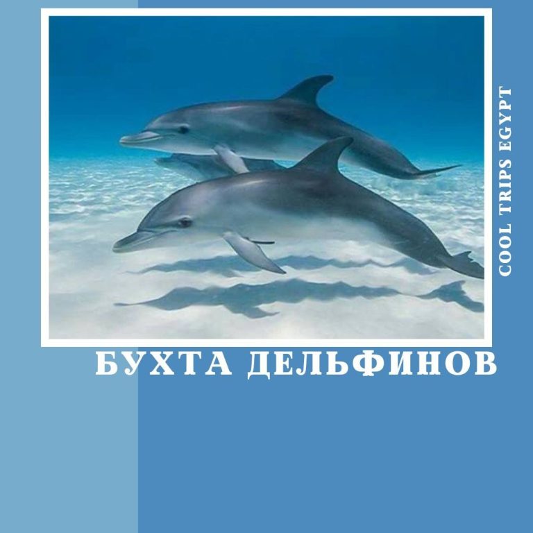 ХУРГАДА - ДОМ (БУХТА) ДЕЛЬФИНОВ