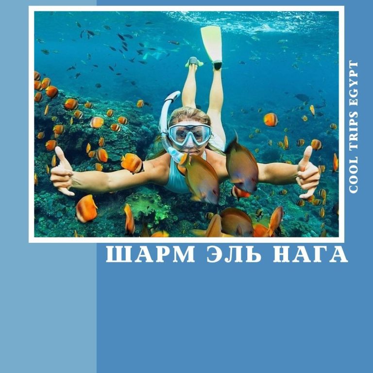 ХУРГАДА - ЗАПОВЕДНИК ШАРМ ЭЛЬ НАГА
