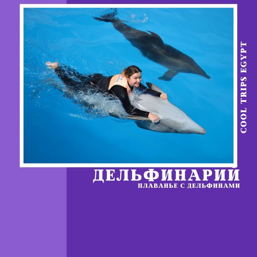 ХУРГАДА – ДЕЛЬФИНАРИЙ – ПЛАВАНЬЕ С ДЕЛЬФИНАМИ