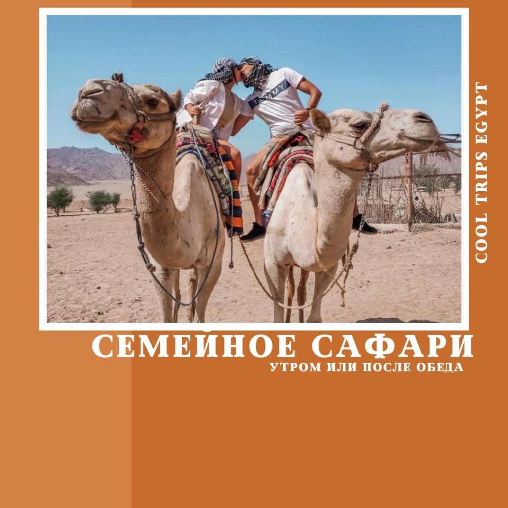 ХУРГАДА – СЕМЕЙНОЕ САФАРИ (УТРО/ ПОСЛЕ ОБЕДА)