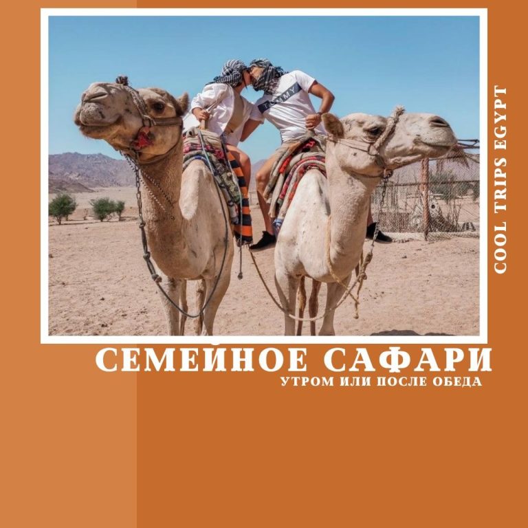 ХУРГАДА - СЕМЕЙНОЕ САФАРИ (УТРО/ ПОСЛЕ ОБЕДА)