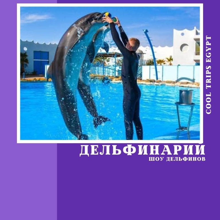 ШАРМ ЭЛЬ ШЕЙХ - ДЕЛЬФИНАРИЙ - ШОУ ПРОГРАММА