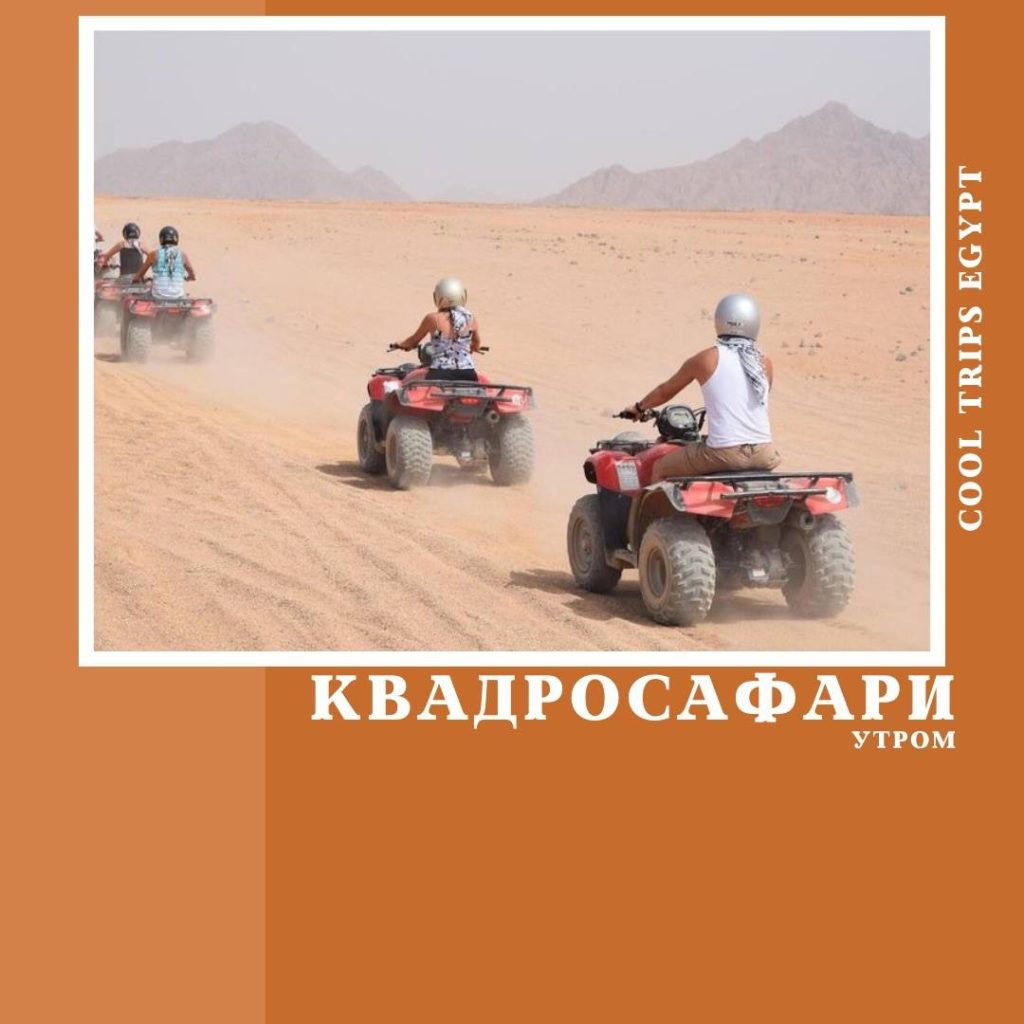 ШАРМ ЭЛЬ ШЕЙХ – КВАДРОСАФАРИ (УТРО)