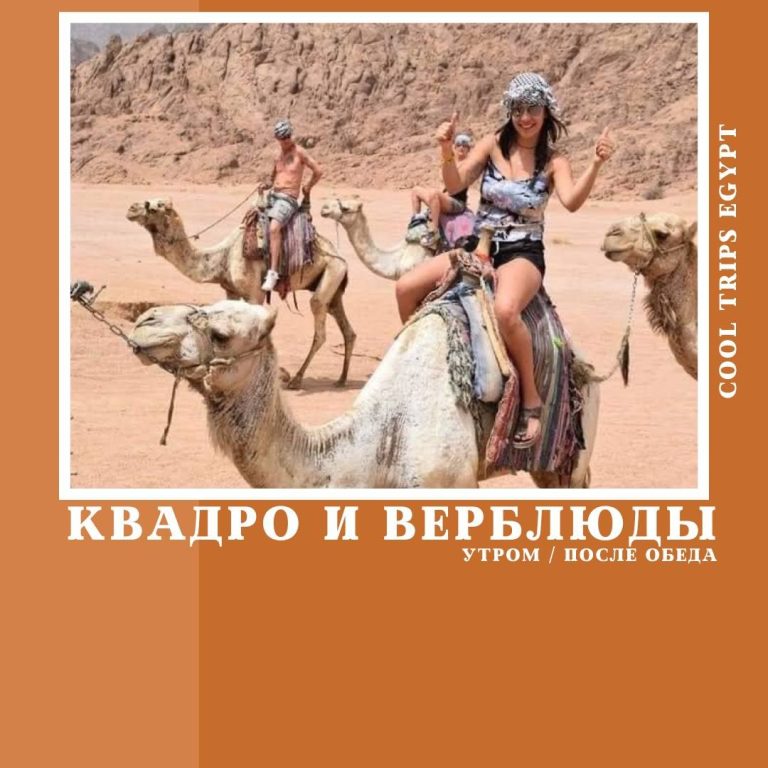 ШАРМ ЭЛЬ ШЕЙХ - КВАДРОСАФАРИ И ПОЕЗДКА НА ВЕРБЛЮДАХ