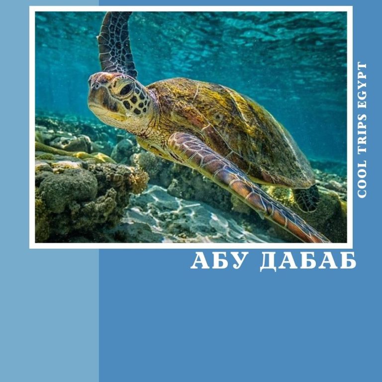 ХУРГАДА - ПОЕЗДКА В АБУ ДАБАБ