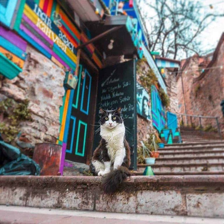 Фотогеничный Стамбул