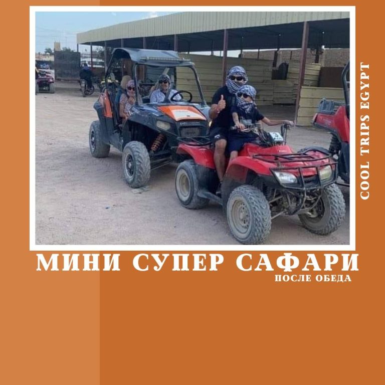 ХУРГАДА - МИНИ СУПЕР САФАРИ
