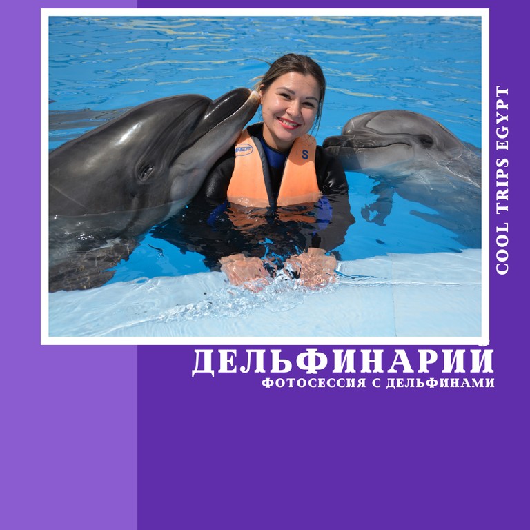 ХУРГАДА - ДЕЛЬФИНАРИЙ - ФОТОСЕССИЯ С ДЕЛЬФИНАМИ