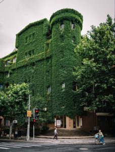 Фото